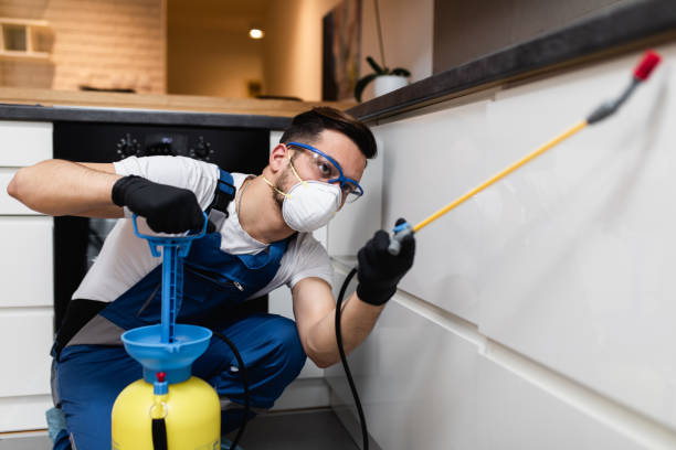 Best Mosquito Control Services  in Coral Springs, FL