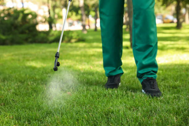 Best Spider Control Near Me  in Coral Springs, FL