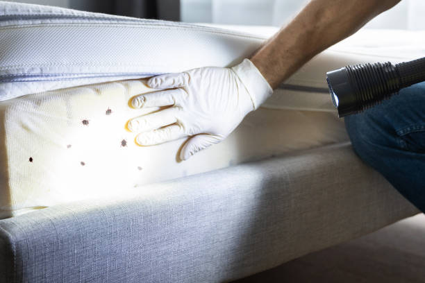 Best Insect Control  in Coral Springs, FL