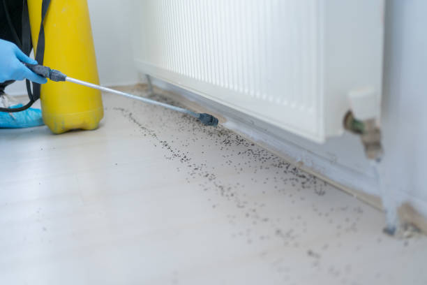 Best Best Pest Control Near Me  in Coral Springs, FL