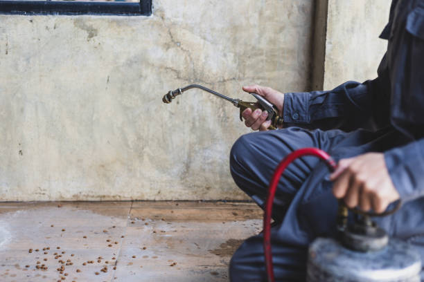 Best Pest Control Near Me  in Coral Springs, FL